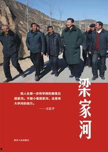 文安女士爆料新闻,揭秘娱乐圈惊人内幕 第1张 文安女士爆料新闻,揭秘娱乐圈惊人内幕 第1张
